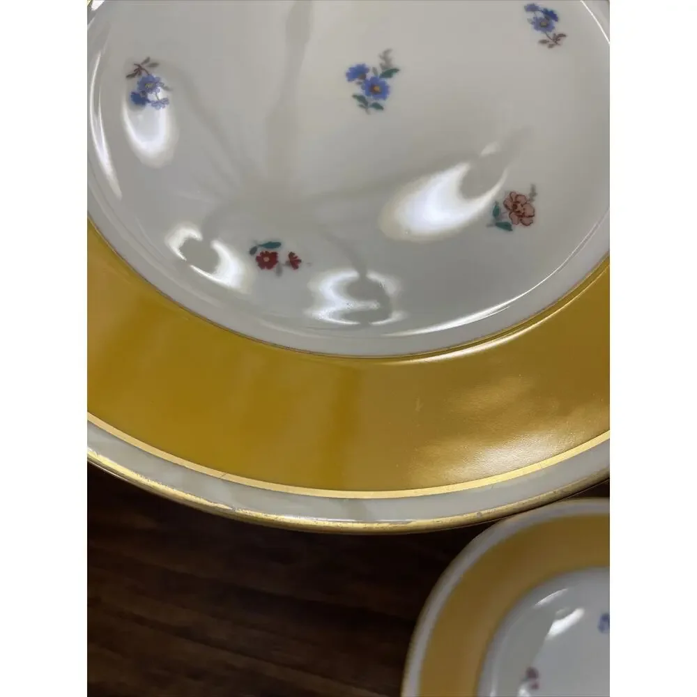 Furstenberg Porcelain Vintage Dinner Plates Yellow Gold Flowers Germany